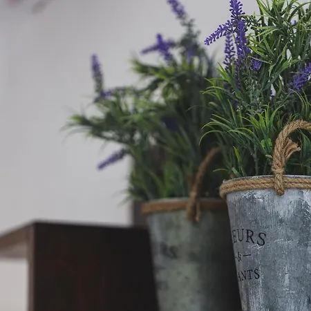 The Of The Old Port Ρέθυμνο