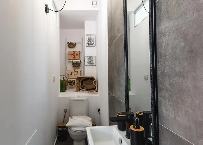 The Of The Old Port *