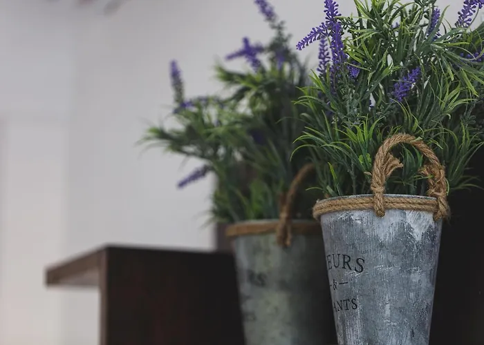 The Of The Old Port Rethimnon